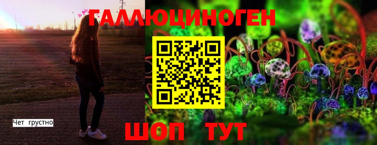 Галлюциногенные грибы мухоморы Мыски