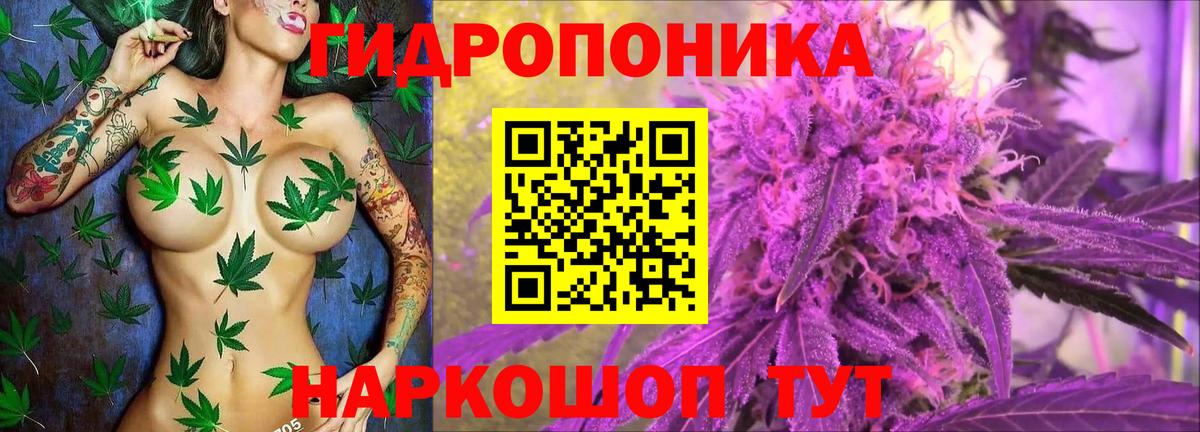 МАРИХУАНА ГИДРОПОН  Марихуана сатива  Марихуана MAZAR  Бошки марихуана SATIVA & INDICA  Мыски  Вход с VPN 